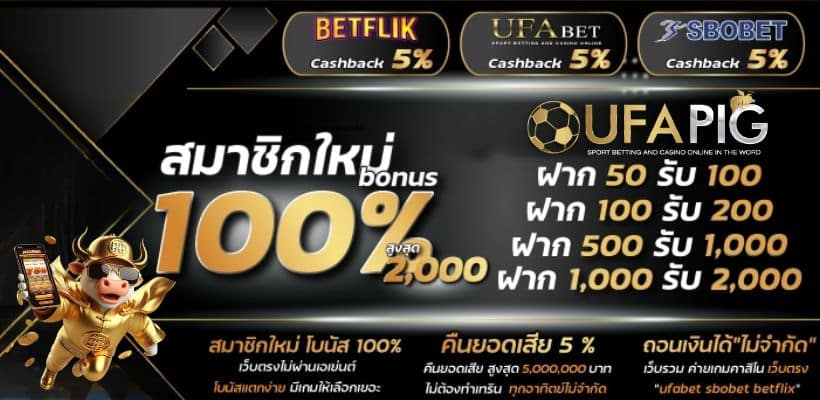 โปรโมชั่น UFAPIG เว็บเดิมพันออนไลน์ เว็บตรง UFABET ฝากถอน ออโต้